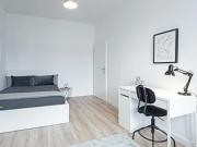 Room for rent in Dusseldorf, Nordrhein Westfalen