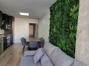 Room for rent in Elche/Elx, Comunidad Valenciana