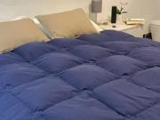 Room for rent in Florence, Toscana