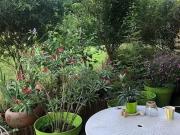 Room for rent in Lyon, Auvergne Rhône Alpes