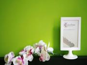 Room for rent in Milano Zona 3 Porta Venezia, Città...