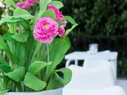 Room for rent in Milano Zona 3 Porta Venezia, Città...