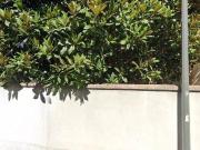 Room for rent in Milano Zona 9 Porta Garibaldi, Niguarda