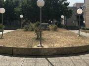 Room for rent in Nanterre, Île de France