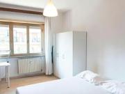 Room for rent in Roma Municipio VIII – Appia Antica, Rome