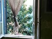 Room for rent in Roma Municipio XII – Monte Verde, Rome