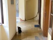 Room for rent in Vienna Leopoldstadt, Vienna