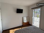 room_shared alicante