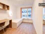 room_shared berlin