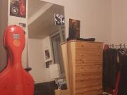 room_shared frankfurt