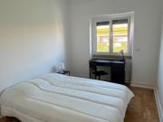 room_shared lisbon
