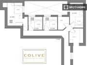 room_shared madrid room_shared madrid