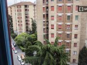 room_shared milan