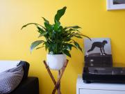 Roomy 1 bed in heart of the northern quarter