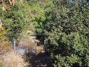 Roquebrune sur Argens 83520 Achat / Vente terrain