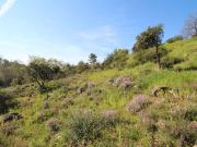 Roquefort les pins Terrain à bâtir