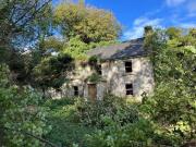 Rosdellig, Borris, Co. Carlow is for sale
