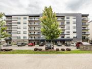 Rosewater Apartments 1 Bedroom Apartment for Rent at...