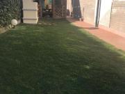 Rosignano Solvay quadrilocale 100mq