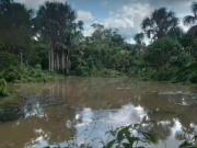 ROSS TERRENO EN VARILLAL CERCA AL AEROPUERTO KM 16...