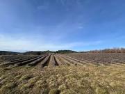 Roumoules 04500 Programme neuf terrain neuf à vendre