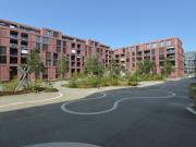 ROY erlebe das neue Winterthur