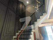Royal orchard 5 m park facing house available for sale...