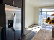 Royster Commons Apartment Homes 1x1 A