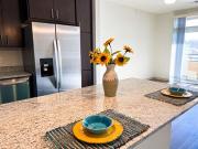 Royster Commons Apartment Homes 1x1 Den G