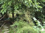 Rozay en Brie 77540 Programme neuf terrain neuf à vendre