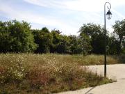 Rozay en Brie Vente Terrain 77