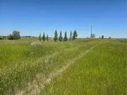 Rr 215, Rural Lethbridge County, AB, T1K 8G5 vacant land...
