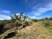 RUA 18, LAGO OESTE, CHÁCARA, ÓTIMA ESTRUTURA PARA...