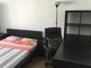 Rua Cónego Ferreira Pinto, Porto, Braga 4050 256