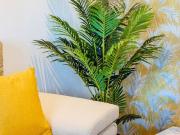 Rua da Bélgica 1407