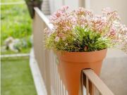 Rua da Boavista, Porto, Braga 4050 041