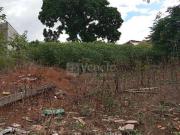 Rua José de Oliveira Franco, nº 2498