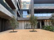 Rub?n Dar?o, obra negra, Polanco