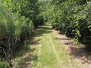 Rudd Rd, Ridgeville, Plot For Sale