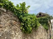 Rudere in vendita a Lauro