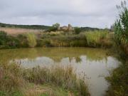 Rudere in vendita a Rosignano Marittimo, Rosignano Solvay