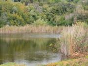 Rudere in vendita a Rosignano Marittimo, Rosignano Solvay