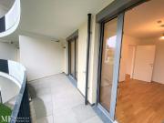 Ruhelage im Kirschblütenpark