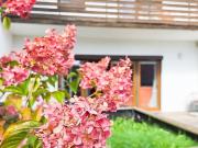 Ruhig wohnen zentral leben: Gemütliches Reihenhaus mit... Ruhig wohnen zentral leben: Gemütliches Reihenhaus mit...