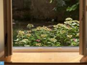 Gründerzeit trifft Grün 3 Zimmer im Herzen des 4ten!