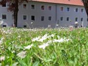 Ruhige Wohnidylle mit Ausblick – lichtdurchflutete 3... Ruhige Wohnidylle mit Ausblick – lichtdurchflutete 3...