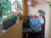 Ruhige Wohnidylle mit Ausblick – lichtdurchflutete 3...