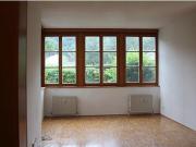 Ruhige Zweizimmerwohnung mit Garten in Hallein