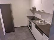 Ruhiger 2 ZIMMER NEUBAU + extra Küche neu möbliert + Bad...