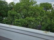 ruhiges City Appartement